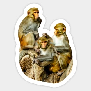 The Three Amigos Sticker